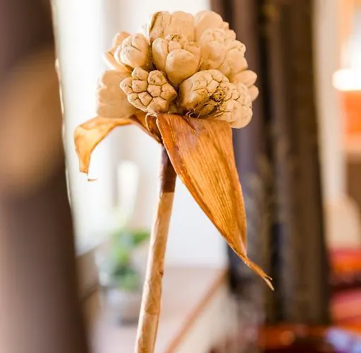 Pensionat Fruehstueckspension Scharinger Hof